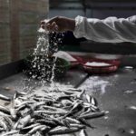 Settimane della pesca sostenibile: Rizzoli Emanuelli racconta il valore che c’è dietro ogni confezione