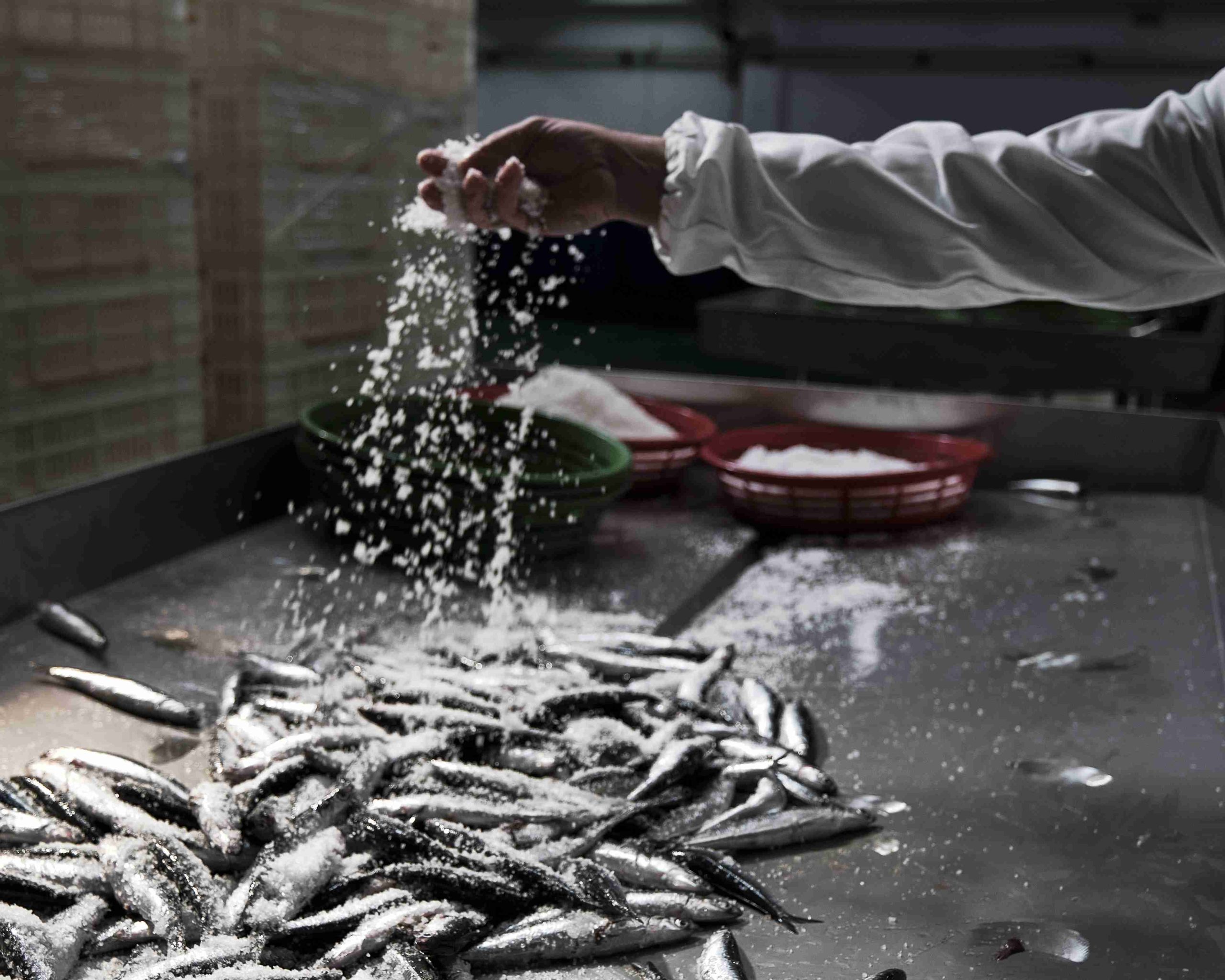 Al momento stai visualizzando Settimane della pesca sostenibile: Rizzoli Emanuelli racconta il valore che c’è dietro ogni confezione