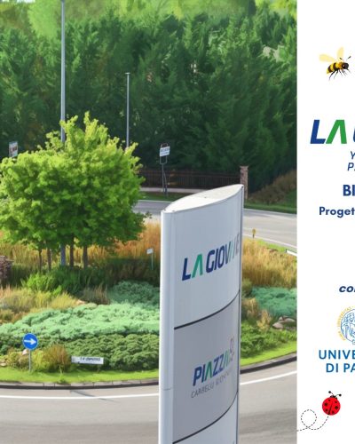 Bio Rotonde: la rotatoria che diventa laboratorio di biodiversità