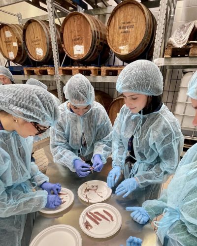 Rizzoli Emanuelli apre le porte agli studenti dell’Università di Parma